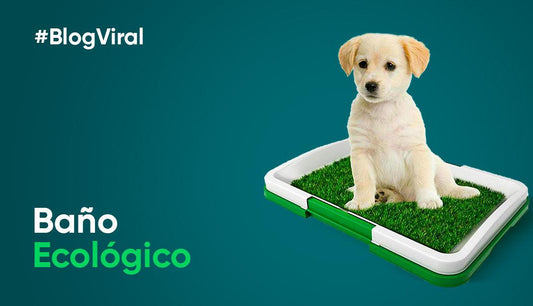 El Baño Ecológico: Higiene y Confort para Tu Mascota - Productos Virales
