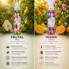 Aromas del mundo - Set sensorial 8 unidades