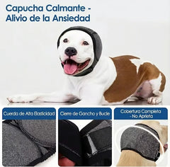 Orejeras antiansiedad reductoras de ruido para perros