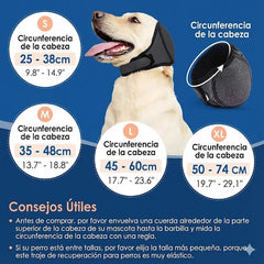 Orejeras antiansiedad reductoras de ruido para perros
